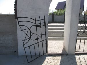 IMG_9873