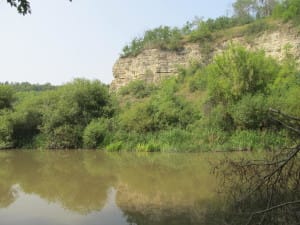 IMG_0385