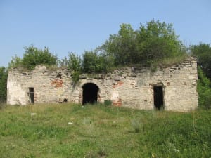 IMG_0398